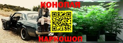 дмт Мариинск