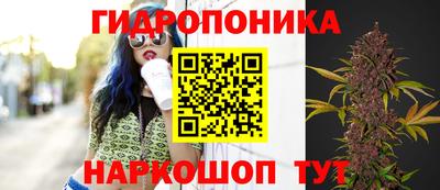 дмт Мариинск
